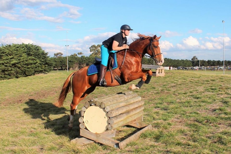 Noella on a chestnut horse mid jump over a log