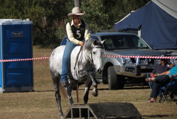 Noella on a grey horse going over an obstacle